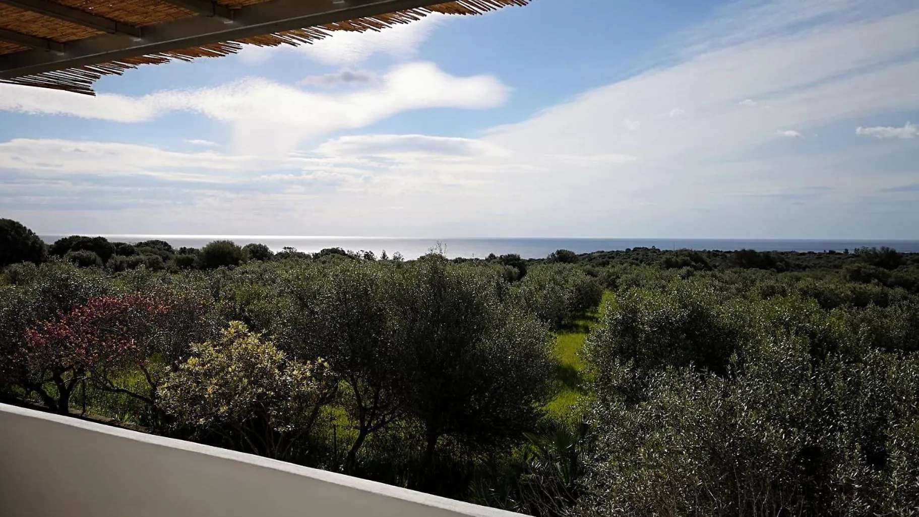 Villa Francesco Country Seaside Cala Liberotto Apartment